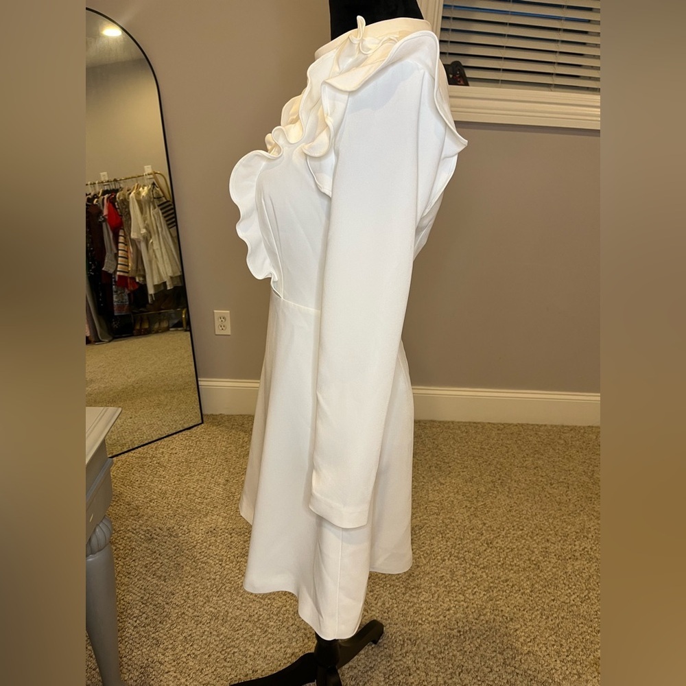 NWT Ted Baker White Long-Sleeve Ruffle A-Line Mini Dress- size 4 - Picture 3 of 9